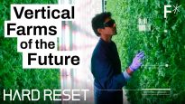 L’agricoltura verticale potrebbe conquistare il mondo | Hard Reset by Freethink
