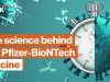Come Pfizer e BioNTech hanno fatto la storia con il loro vaccino | Big Think